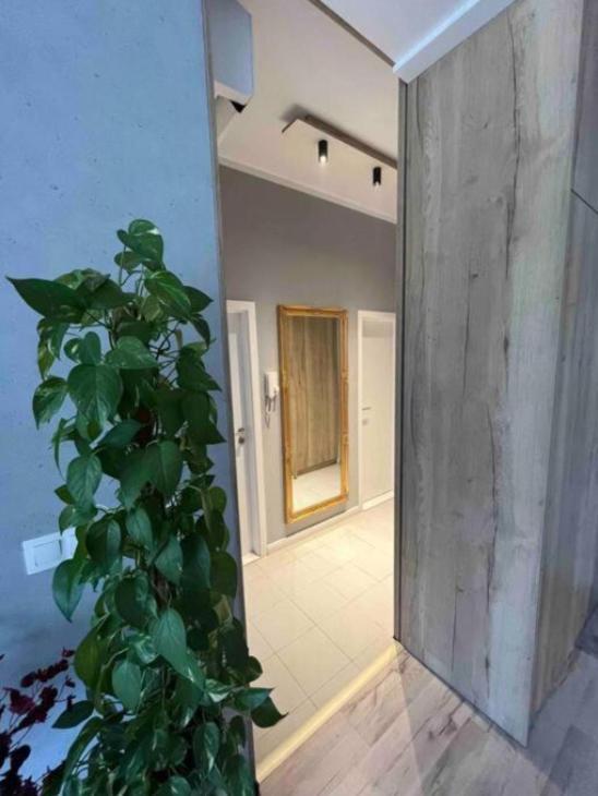 Cozy Apartment Bratislava Bagian luar foto